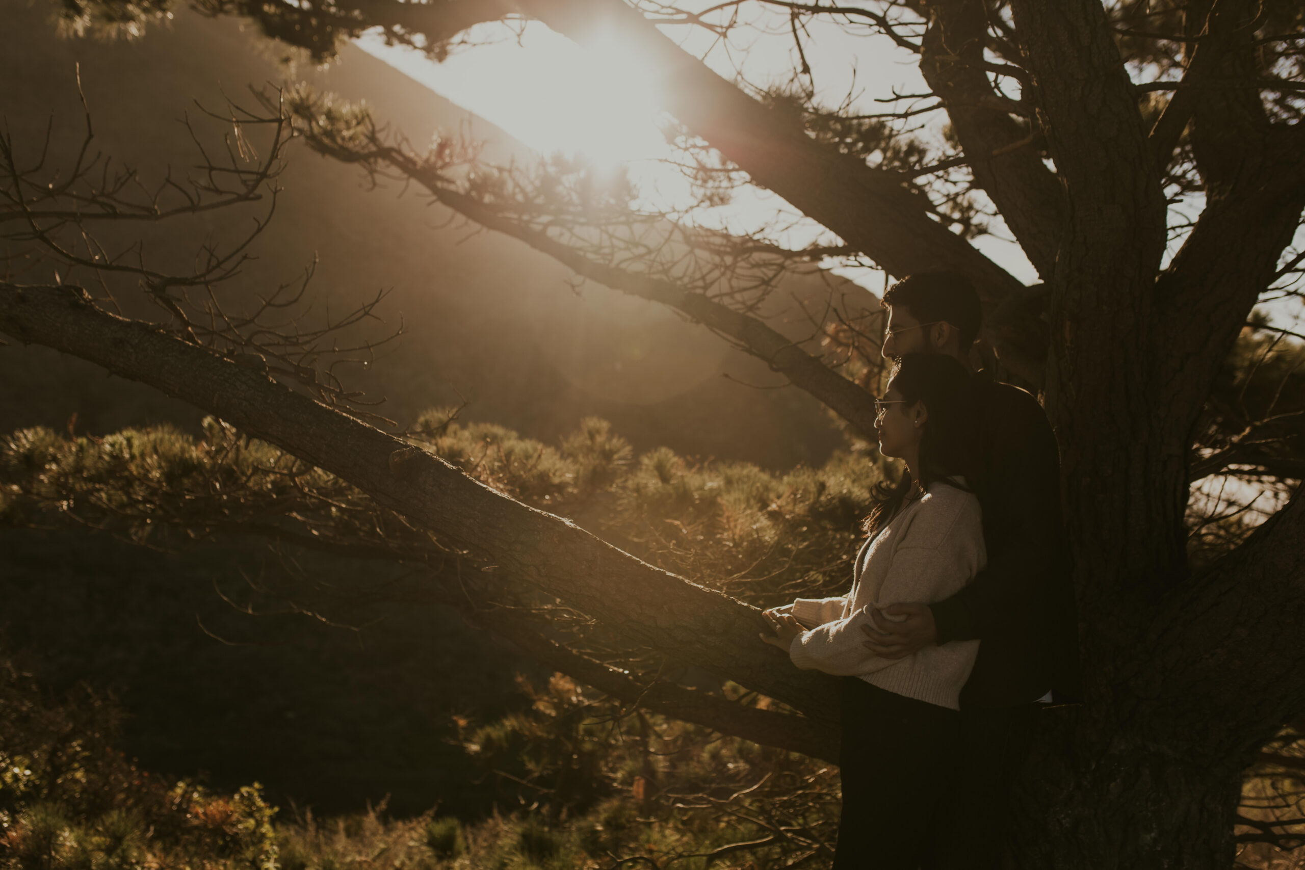 a woman stands in the arms of her now fiance. they hug each other next to a beautiful cyprus tree as the sun rises. they hired a photographer to capture their proposal on the big sur california coast